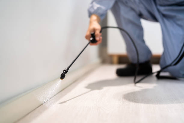 Licensed Cockroach Control service in Oak Hill, FL - Nex Pest Control