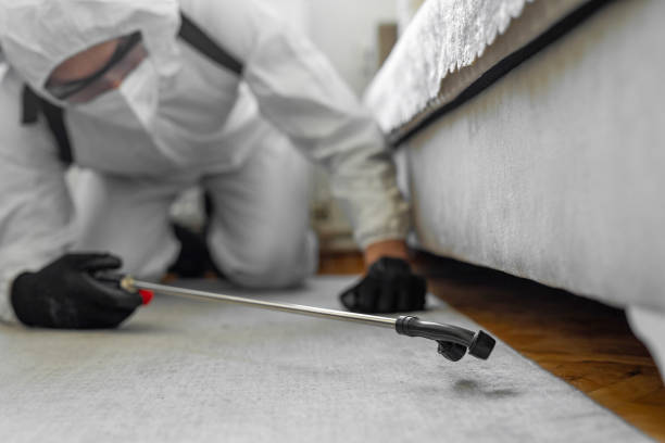 Professional Cockroach Control technician working in Oak Hill, FL