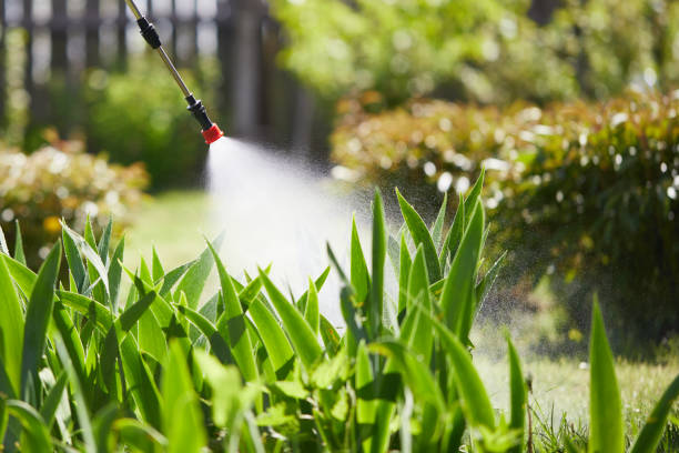24/7 Emergency Cockroach Control experts in Oak Hill, FL