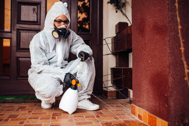 Reliable Cockroach Control contractor in Oak Hill, FL by Nex Pest Control