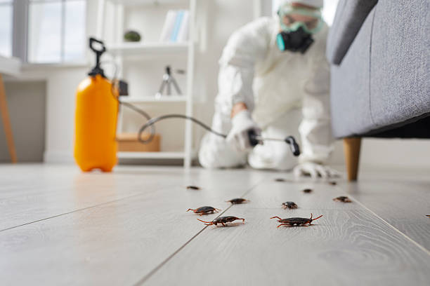 Affordable Cockroach Control solutions in Oak Hill, FL